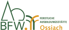 fast_Ossiach_logo